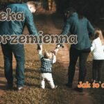 radca prawny Koszalin